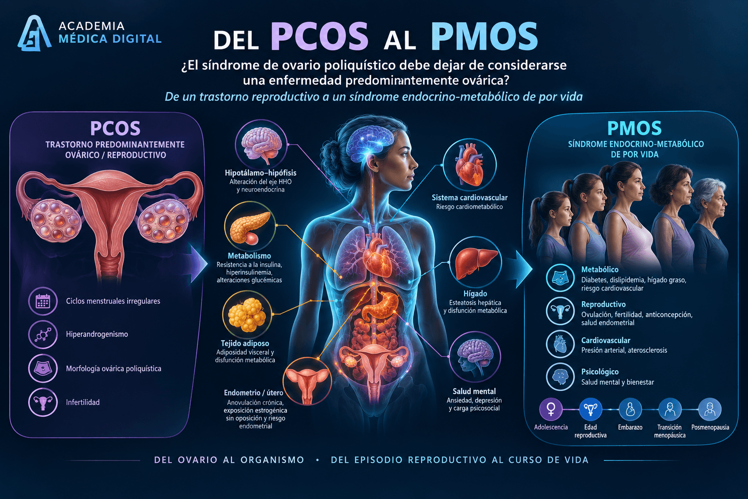 DEL PCOS AL PMOS. El síndrome de ovario poliquístico: ¿enfermedad predominantemente ovárica?
